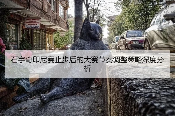 shi-yu-qi-yin-ni-sai-zhi-bu-hou-de-da-sai-jie-zou-tiao-zheng-ce-lve-shen-du-fen-xi-2-112.jpg